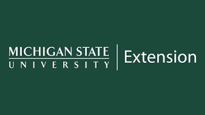 msu
